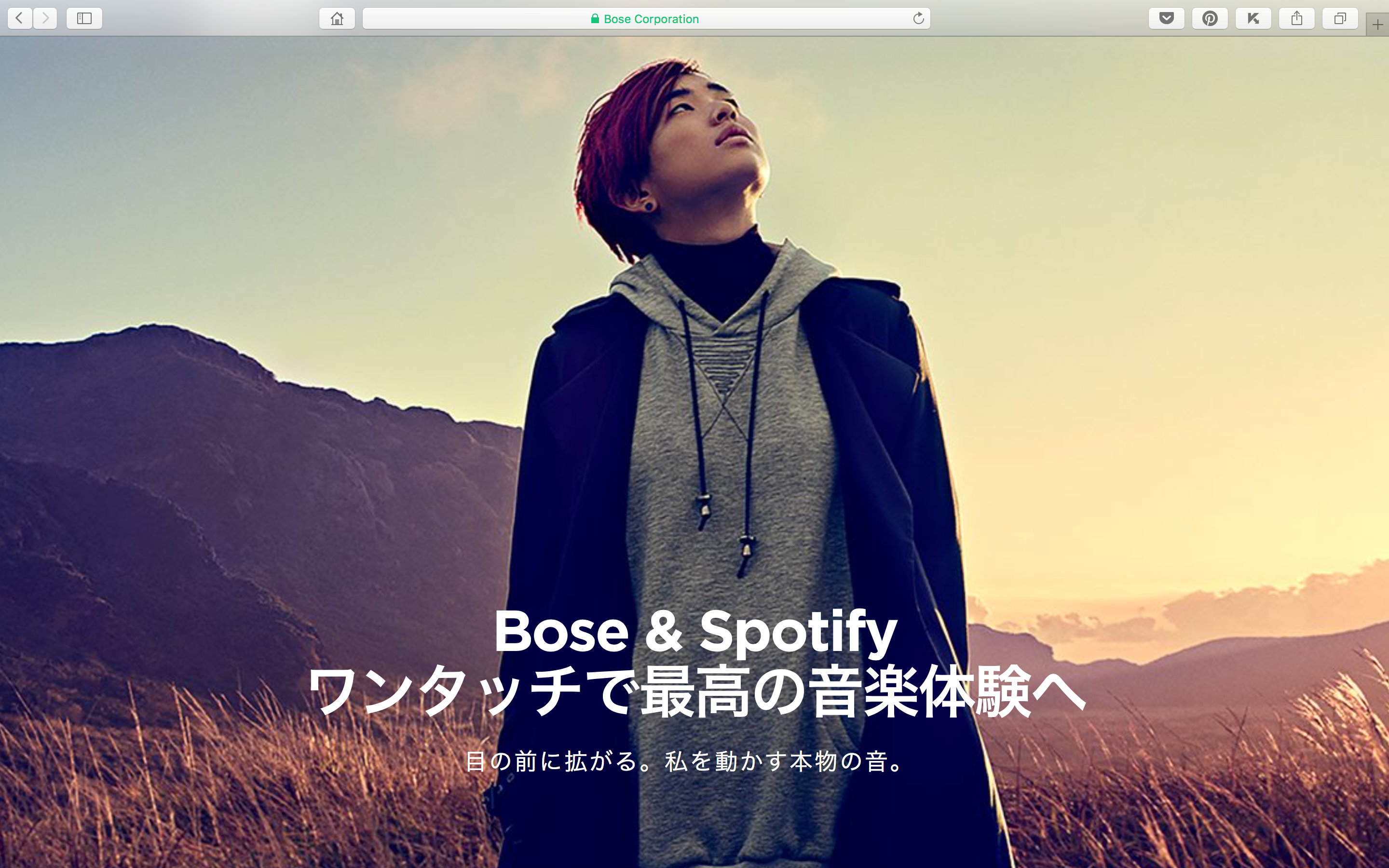 Bose & Spotify