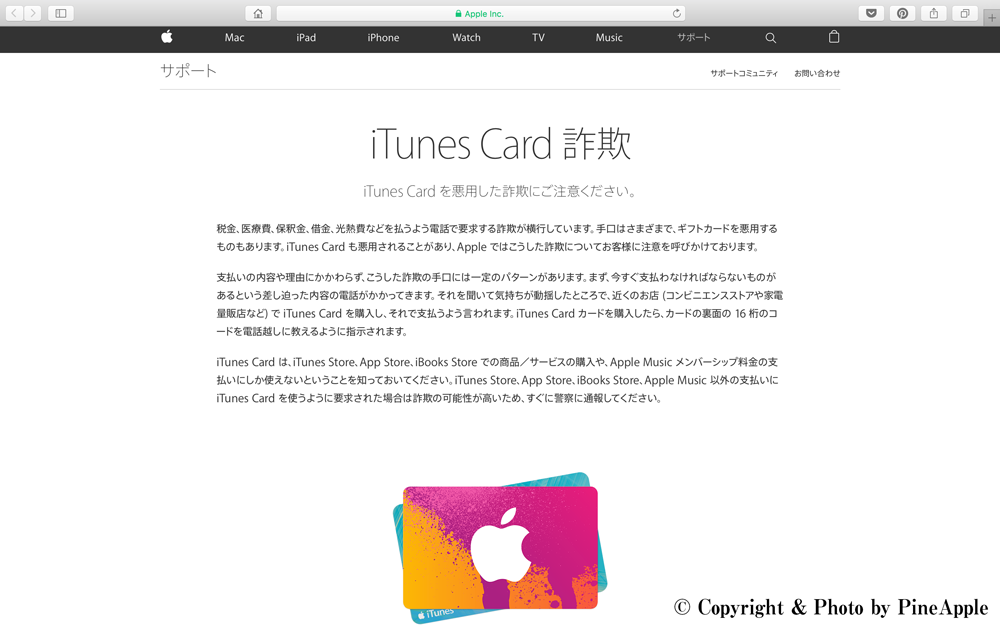 iTunes Card 詐欺