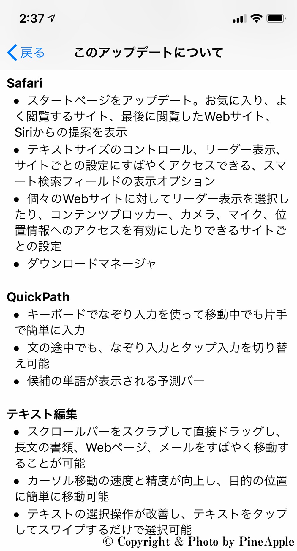 iOS 13：Safari、QucikPath、テキスト編集