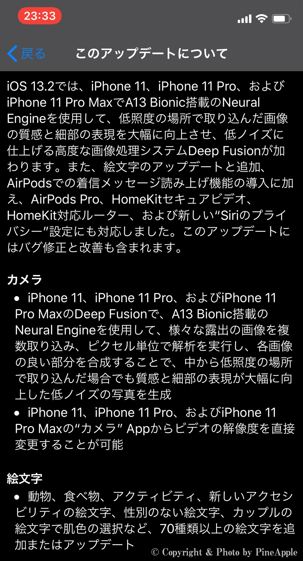 iOS 13.2：カメラ、絵文字