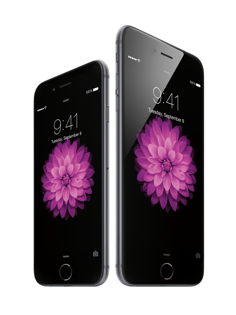 iPhone 6、iPhone 6 Plus
