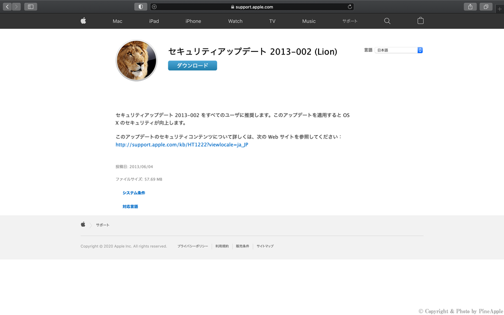 Security Update 2013 - 002（Lion）