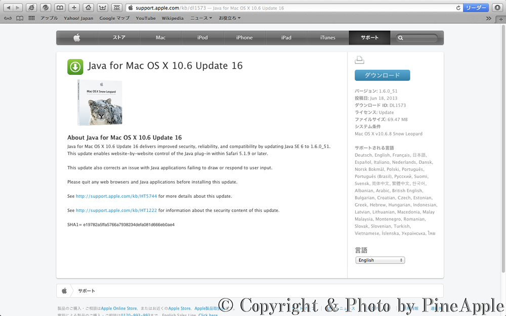 Java for Mac OS X 10.6 Update 16