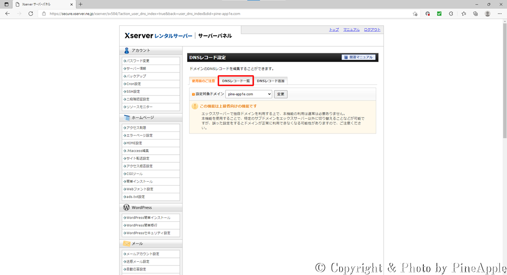 Xserver サーバー パネル："DNX レコード設定" 内にて [DNX レコード一覧] タブをクリック