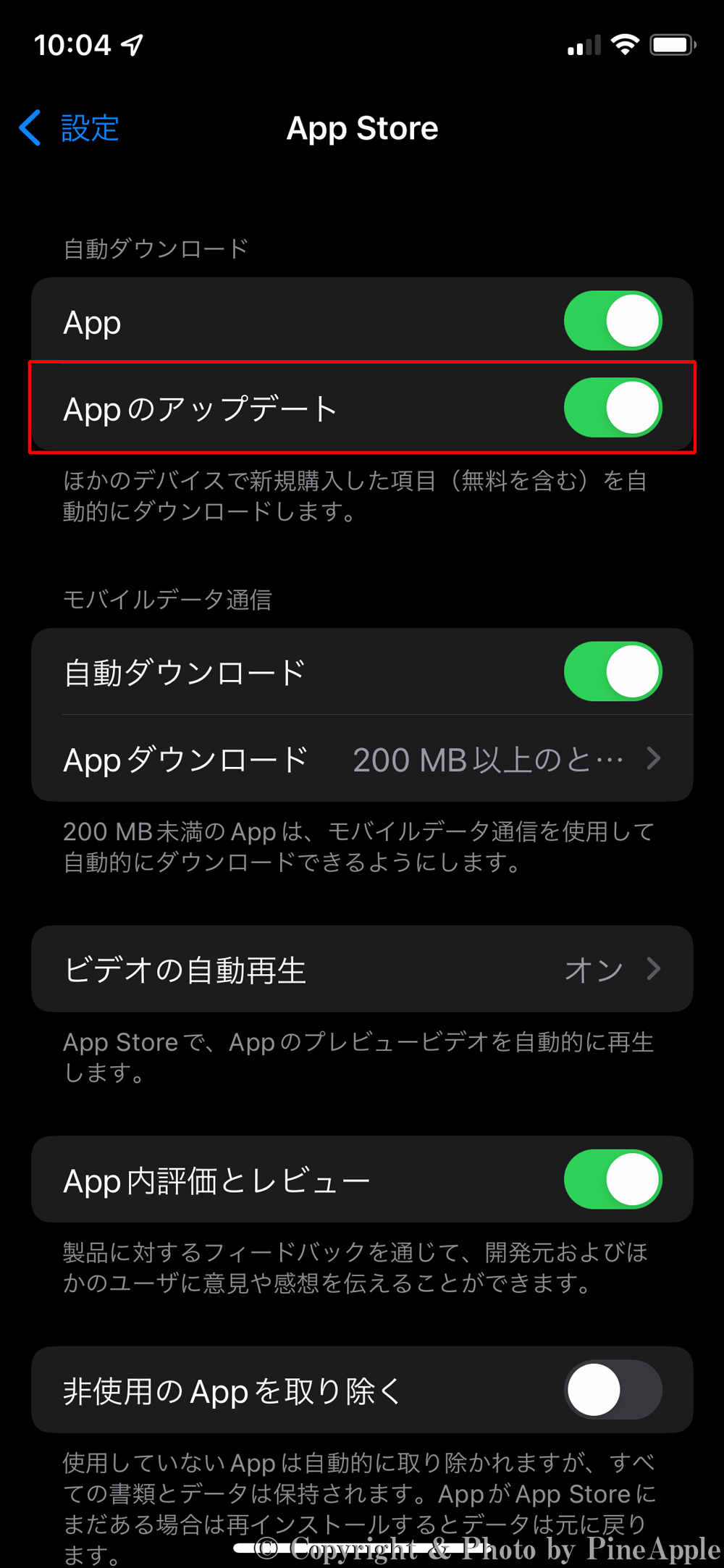 iOS 15（自動アップデート）："自動ダウンロード" セクション内の [App のアップデート] をタップし、ON 