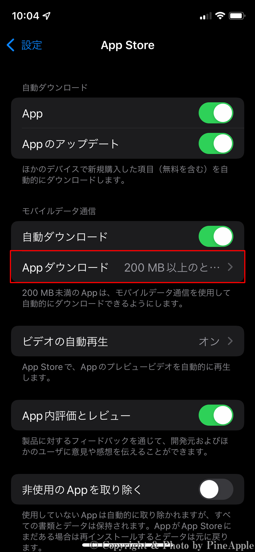 iOS 15（自動アップデート）："モバイル データ通信" セクション内の [App ダウンロード] をタップ