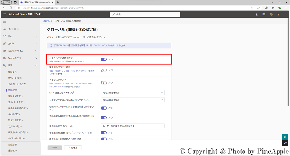 Microsoft Teams："プライベート通話を行う" の設定値を確認