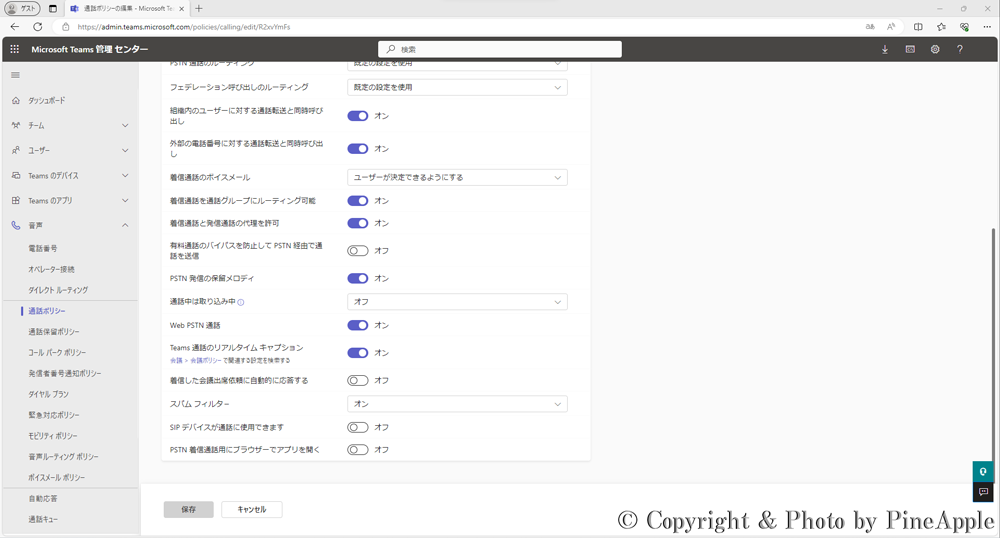 Microsoft Teams："プライベート通話を行う" の設定値を確認