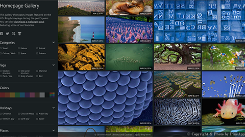 【アップデート情報】”Bing” の 5 周年を記念した “Bing Homepage Gallery” を公開