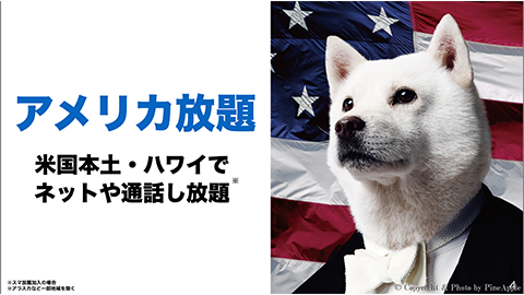 【SoftBank】米国での通話およびネットし放題の “アメリカ放題” のサービス提供を発表